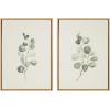 image:imageKate and Laurel Sylvie Eucalyptus 4a amp Eucalyptus 4b Framed Canvas Wall Art Set by Maja Mitrovic of Makes My Day Happy 2 Piece 18x24 Gold Chic Greenery Wall DcorNatural