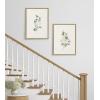 image:imageKate and Laurel Sylvie Eucalyptus 4a amp Eucalyptus 4b Framed Canvas Wall Art Set by Maja Mitrovic of Makes My Day Happy 2 Piece 18x24 Gold Chic Greenery Wall DcorNatural
