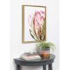 image:imageKate and Laurel Sylvie Pink Protea Flower Framed Canvas Wall Art by Amy Peterson 18x24 Gold