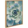 image:imageKate and Laurel Sylvie Succulent 7 Color Photograph Framed Canvas Wall Art by F2 Images 18x24 NaturalNatural