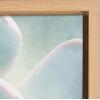 image:imageKate and Laurel Sylvie Succulent 7 Color Photograph Framed Canvas Wall Art by F2 Images 18x24 NaturalNatural