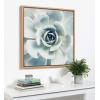 image:imageKate and Laurel Sylvie Succulent 7 Color Photograph Framed Canvas Wall Art by F2 Images 18x24 NaturalNatural