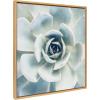 image:imageKate and Laurel Sylvie Succulent 7 Color Photograph Framed Canvas Wall Art by F2 Images 18x24 NaturalNatural