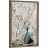 image:imageKate and Laurel Blake Peacock Framed Printed Glass Wall Art by Alicia Abla 18x24 Gold Decorative Bird Art for Wall