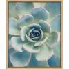 image:imageKate and Laurel Sylvie Succulent 7 Color Photograph Framed Canvas Wall Art by F2 Images 18x24 NaturalNatural