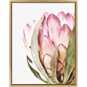 image:imageKate and Laurel Sylvie Pink Protea Flower Framed Canvas Wall Art by Amy Peterson 18x24 Gold