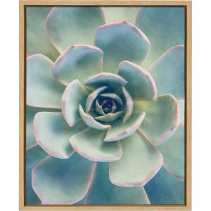 image:imageKate and Laurel Sylvie Succulent 7 Color Photograph Framed Canvas Wall Art by F2 Images 18x24 NaturalNatural