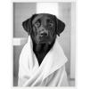 image:imageKate and Laurel Black Lab Bathroom Art Towel Robe Black and White Framed Canvas Wall Art by The Creative Bunch Studio 18 x 24 Sylvie White Black amp White Animals Bathroom Art for Wall Decor Living