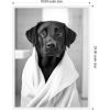image:imageKate and Laurel Black Lab Bathroom Art Towel Robe Black and White Framed Canvas Wall Art by The Creative Bunch Studio 18 x 24 Sylvie White Black amp White Animals Bathroom Art for Wall Decor Living