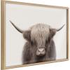 image:imageKate and Laurel Blake Hey Dude Highland Cow Color Framed Printed Glassl Wall Art by The Creative Bunch Studio 18x24 Natural Farmhouse Animal ArtNatural