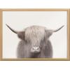image:imageKate and Laurel Blake Hey Dude Highland Cow Color Framed Printed Glassl Wall Art by The Creative Bunch Studio 18x24 Natural Farmhouse Animal ArtNatural