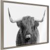 image:imageKate and Laurel Blake Highland Cow Portrait Framed Printed Glass Wall Art by Amy Peterson Art Studio 18x24 Gray Farmhouse Animal Wall DcorGray