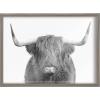 image:imageKate and Laurel Blake Highland Cow Portrait Framed Printed Glass Wall Art by Amy Peterson Art Studio 18x24 Gray Farmhouse Animal Wall DcorGray