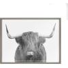 image:imageKate and Laurel Blake Highland Cow Portrait Framed Printed Glass Wall Art by Amy Peterson Art Studio 18x24 Gray Farmhouse Animal Wall DcorGray