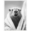 image:imageKate and Laurel Capybara Bathroom Art Towel Robe Black and White Framed Canvas Wall Art by The Creative Bunch Studio 18 x 24 Sylvie White Black amp White Animals Bathroom Art for Wall Decor Living