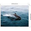 image:imageKate and Laurel Dolphin Skipping along in the Ocean Framed Canvas Wall Art by Michael Schauer 30 x 23 Sylvie White Coastal Animals Beach Landscapes Art for Wall Decor Living Room Bedroom