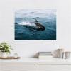 image:imageKate and Laurel Dolphin Skipping along in the Ocean Framed Canvas Wall Art by Michael Schauer 30 x 23 Sylvie White Coastal Animals Beach Landscapes Art for Wall Decor Living Room Bedroom