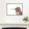 image:imageKate and Laurel Framed Canvas Wall Art Print Hummingbird by Madeline Jeppesen 24 x 18 Sylvie Natural Frame Whimsical Animal Art for Wall DecorSylvie Walnut