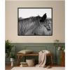 image:imageKate and Laurel Framed Wall Art Print Auburn by Alicia Bock 41 x 21 Svelte Noir Black Frame Modern Contemporary Animal Art for Wall DecorSvelte Noir Black