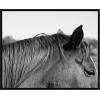 image:imageKate and Laurel Framed Wall Art Print Auburn by Alicia Bock 41 x 21 Svelte Noir Black Frame Modern Contemporary Animal Art for Wall DecorSvelte Noir Black