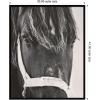 image:imageKate and Laurel Framed Wall Art Print Black Horse by Emiko and Mark Franzen F2 Images 33 x 41 Svelte Noir Black Frame Rustic Farmhouse Animal Art for Wall DecorSvelte Noir Black