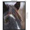 image:imageKate and Laurel Framed Wall Art Print Black and White Horse by Emiko and Mark Franzen F2 Images 33 x 41 Svelte Noir Black Frame Rustic Farmhouse Animal Art for Wall DecorSvelte Noir Black