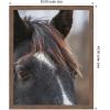 image:imageKate and Laurel Framed Wall Art Print Black and White Horse by Emiko and Mark Franzen F2 Images 33 x 41 Svelte Noir Black Frame Rustic Farmhouse Animal Art for Wall DecorWoodgrain Stripe Chocolate