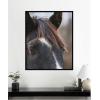image:imageKate and Laurel Framed Wall Art Print Black and White Horse by Emiko and Mark Franzen F2 Images 33 x 41 Svelte Noir Black Frame Rustic Farmhouse Animal Art for Wall DecorSvelte Noir Black