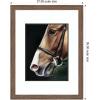 image:imageKate and Laurel Framed Wall Art Print Chestnut Horse by Mary Sparrow 27 x 35 Pia Medium Brown Narrow Frame Rustic Farmhouse Animal Art for Wall DecorPia Medium Brown Narrow