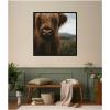 image:imageKate and Laurel Framed Wall Art Print Close Up of Scottish Highland Cattle Baby SQ by Michael Schauer 33 x 33 Svelte Noir Black Frame Rustic Farmhouse Animal Art for Wall DecorSvelte Noir Black