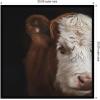 image:imageKate and Laurel Framed Wall Art Print Cow Close by Emiko and Mark Franzen F2 Images 33 x 21 Svelte Noir Black Frame Rustic Farmhouse Animal Art for Wall DecorSvelte Noir Black