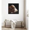 image:imageKate and Laurel Framed Wall Art Print Cow Profile by Emiko and Mark Franzen F2 Images 33 x 21 Svelte Noir Black Frame Rustic Farmhouse Animal Art for Wall DecorSvelte Noir Black