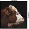 image:imageKate and Laurel Framed Wall Art Print Cow Profile by Emiko and Mark Franzen F2 Images 33 x 21 Svelte Noir Black Frame Rustic Farmhouse Animal Art for Wall DecorSvelte Noir Black