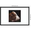 image:imageKate and Laurel Framed Wall Art Print Cow Profile by Emiko and Mark Franzen F2 Images 33 x 21 Svelte Noir Black Frame Rustic Farmhouse Animal Art for Wall DecorSvelte Noir Black