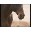 image:imageKate and Laurel Framed Wall Art Print Dusty by Crystal Lynn Collins 25 x 25 Svelte Noir Black Frame Rustic Farmhouse Animal Art for Wall DecorSvelte Noir Black