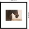 image:imageKate and Laurel Framed Wall Art Print Dusty by Crystal Lynn Collins 25 x 25 Svelte Noir Black Frame Rustic Farmhouse Animal Art for Wall DecorSvelte Noir Black
