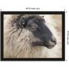 image:imageKate and Laurel Framed Wall Art Print Edward Crop by Emiko and Mark Franzen F2 Images 42 x 32 Woodgrain Stripe Mocha Frame Rustic Farmhouse Animal Art for Wall DecorManhattan Black