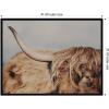 image:imageKate and Laurel Framed Wall Art Print Highland Cow No 4 Close by Laura Evans 41 x 31 Svelte Noir Black Frame Rustic Farmhouse Animal Art for Wall DecorSvelte Noir Black