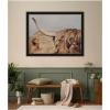 image:imageKate and Laurel Framed Wall Art Print Highland Cow No 4 Close by Laura Evans 41 x 31 Svelte Noir Black Frame Rustic Farmhouse Animal Art for Wall DecorManhattan Black
