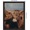 image:imageKate and Laurel Framed Wall Art Print Highland Cow No 5 by Laura Evans 31 x 41 Svelte Noir Black Frame Rustic Farmhouse Animal Art for Wall DecorManhattan Black