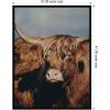 image:imageKate and Laurel Framed Wall Art Print Highland Cow No 5 by Laura Evans 31 x 41 Svelte Noir Black Frame Rustic Farmhouse Animal Art for Wall DecorSvelte Noir Black