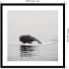 image:imageKate and Laurel Framed Wall Art Print Humpback Whale No 4 by Laura Evans 25 x 25 Svelte Noir Black Frame Coastal Animal Art for Wall DecorSvelte Noir Black
