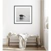 image:imageKate and Laurel Framed Wall Art Print Humpback Whale No 4 by Laura Evans 25 x 25 Svelte Noir Black Frame Coastal Animal Art for Wall DecorSvelte Noir Black