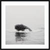 image:imageKate and Laurel Framed Wall Art Print Humpback Whale No 4 by Laura Evans 25 x 25 Svelte Noir Black Frame Coastal Animal Art for Wall DecorSvelte Noir Black