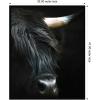 image:imageKate and Laurel Framed Wall Art Print Minimalist Black Highland Cow Close by Michael Schauer 33 x 41 Svelte Noir Black Frame Modern Contemporary Animal Art for Wall DecorSvelte Noir Black