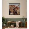 image:imageKate and Laurel Framed Wall Art Print Nosy Highland by Laura Evans 33 x 33 Svelte Noir Black Frame Rustic Farmhouse Animal Art for Wall DecorSvelte Noir Black