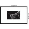 image:imageKate and Laurel Framed Wall Art Print Scottish Highland No 6 by Crystal Lynn Collins 33 x 21 Svelte Noir Black Frame Rustic Farmhouse Animal Art for Wall DecorSvelte Noir Black