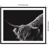 image:imageKate and Laurel Framed Wall Art Print Scottish Highland No 6 by Crystal Lynn Collins 33 x 21 Svelte Noir Black Frame Rustic Farmhouse Animal Art for Wall DecorSvelte Noir Black