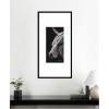 image:imageKate and Laurel Framed Wall Art Print Scottish Highland by Crystal Lynn Collins 21 x 41 Svelte Noir Black Frame Rustic Farmhouse Animal Art for Wall DecorSvelte Noir Black