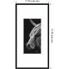 image:imageKate and Laurel Framed Wall Art Print Scottish Highland by Crystal Lynn Collins 21 x 41 Svelte Noir Black Frame Rustic Farmhouse Animal Art for Wall DecorSvelte Noir Black